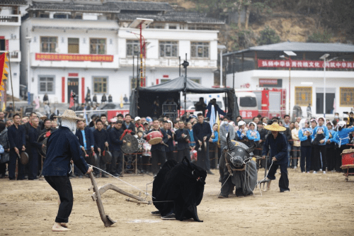 天峨 “文化+旅游”融合发展，铸牢中华民族共同体意识 (图8)