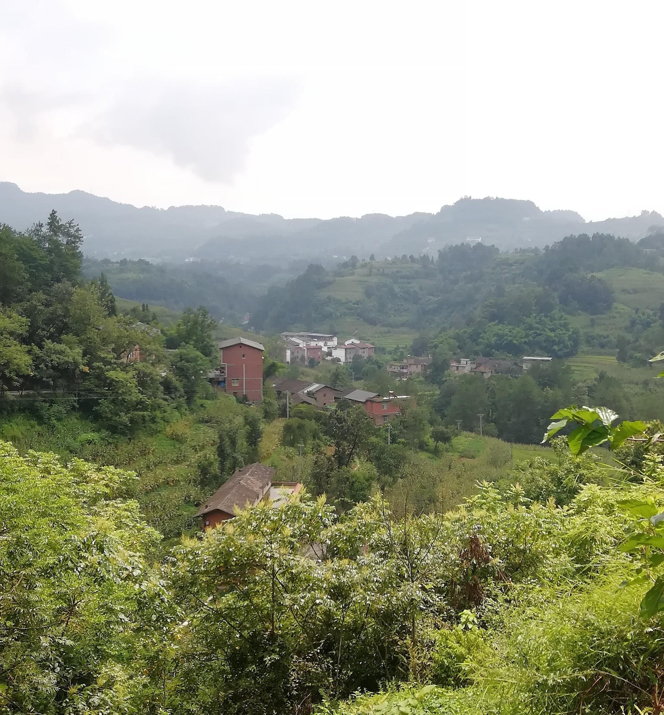 凤来镇有两高,高寿和高楼两个村,而高寿村风景秀丽,蓝天水清,空气新鲜