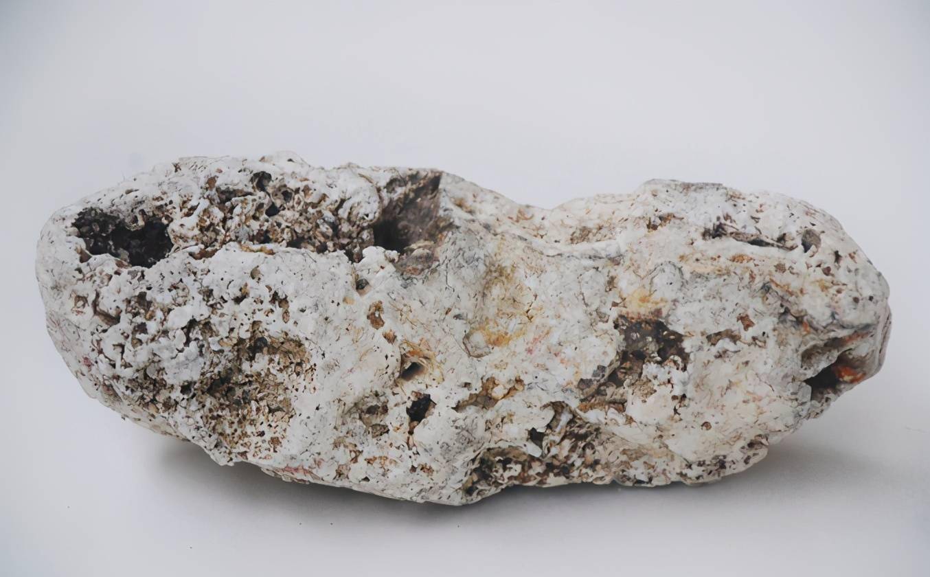 而且比黄金还值钱_龙涎香_价值_肠子