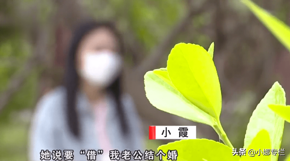 真没想到（假怀孕整蛊室友）假怀孕的搞笑视频 第3张