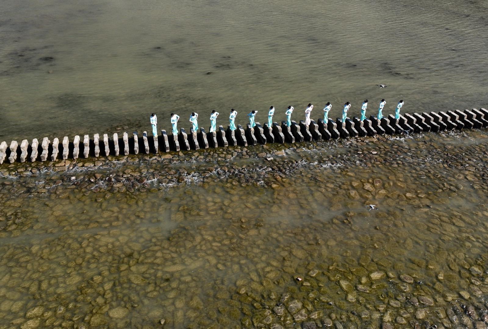 泰顺美丽小镇仕阳,碇步桥"出圈" 带火,是江浙沪自驾游好去处_茶园
