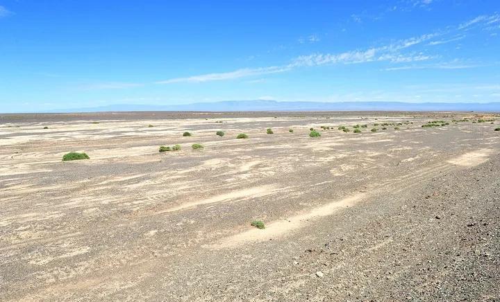 去老爷庙口岸一路上看到的戈壁滩戈壁滩里的灌木丛由于蒙古国布尔嘎斯