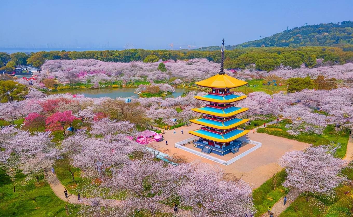 武汉东湖樱花园,此时樱花盛开,如梦似幻,让我们赴一场繁华盛宴