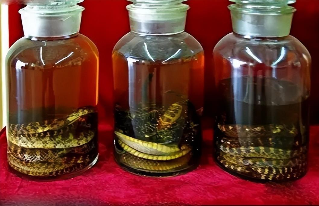 毒蛇泡酒一年,为何还能伤人?这酒能喝吗_酒瓶_复活_时间