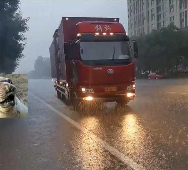 男子雨天开卡车接女友回家,满满安全感直接碾压豪车:帅呆了_网友_女人