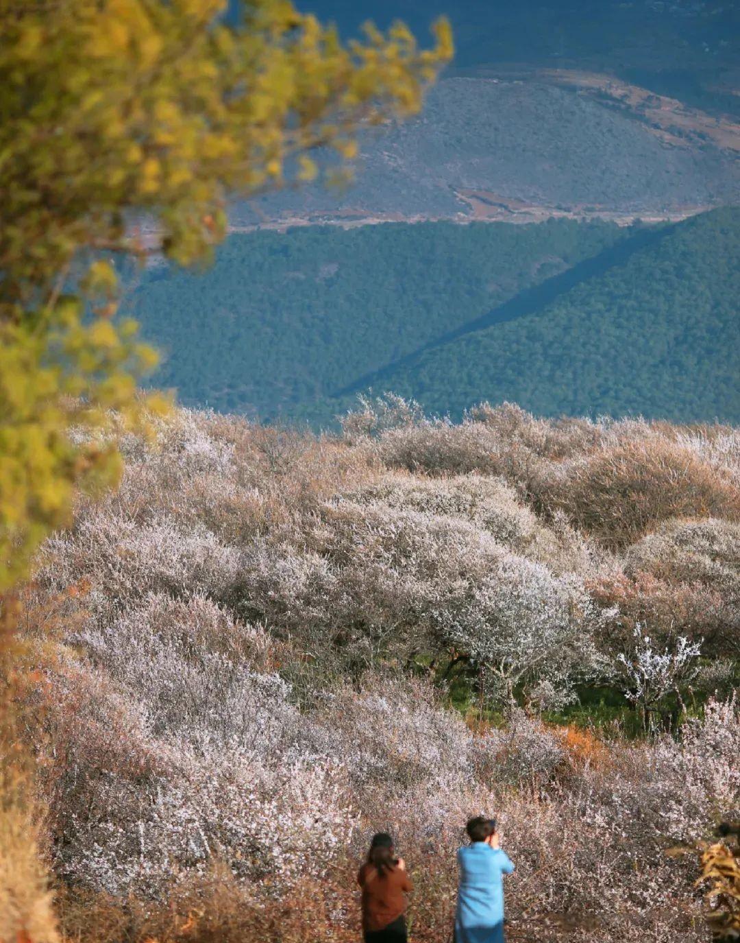 洱源_洱海_宁静