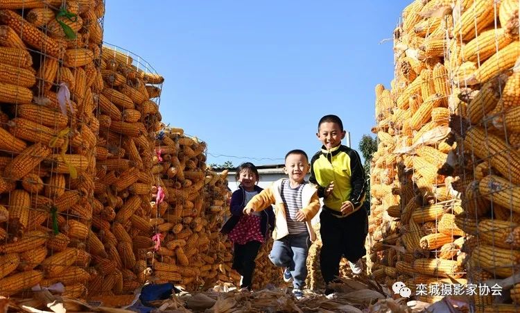 那组优良摄影做品，令人心旷神怡！