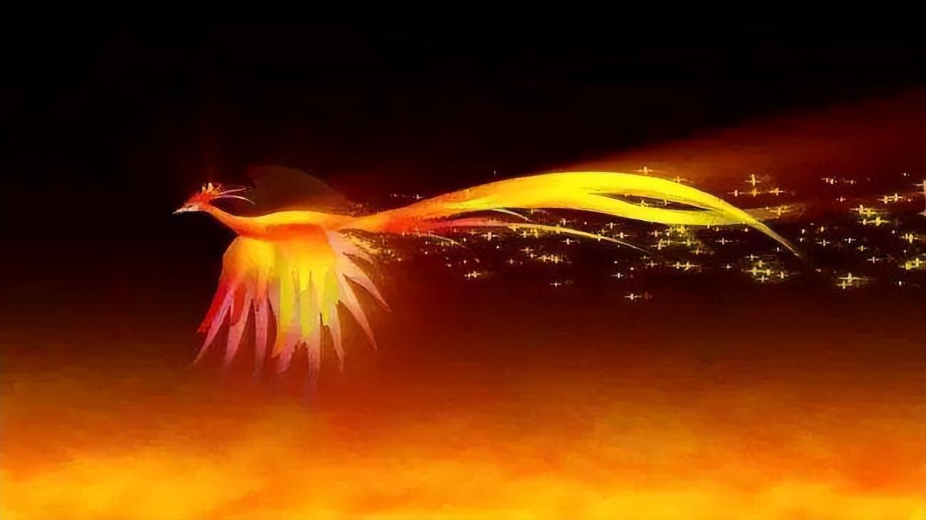 老人误把"国鸟"当凤凰,养了4年繁殖40只,网友:不能判刑_郭存锁_保护