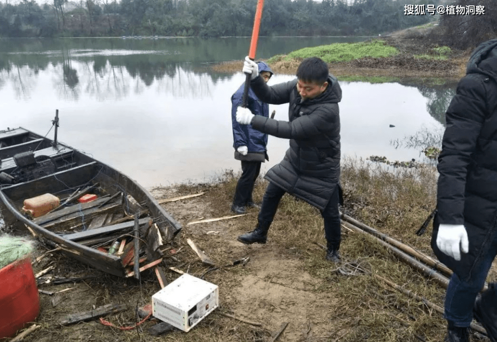 農村男子在自家池塘電魚被罰款500,反轉來了,警方道歉,網友們卻炸開了