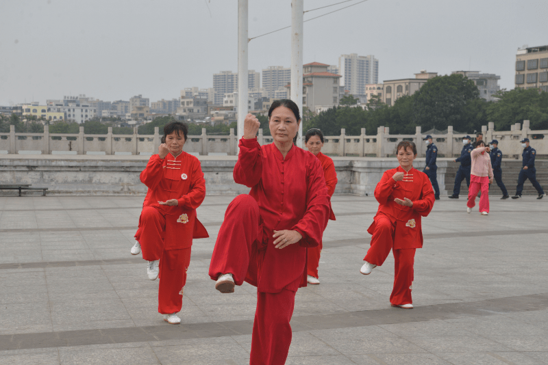 雷州传统文化图片