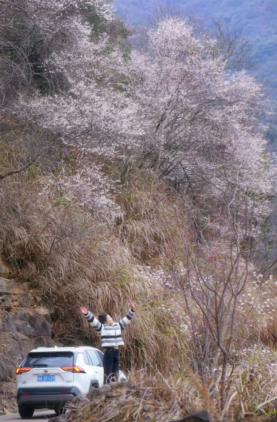 建德三都非遗（建德市三都镇三都村） 第15张