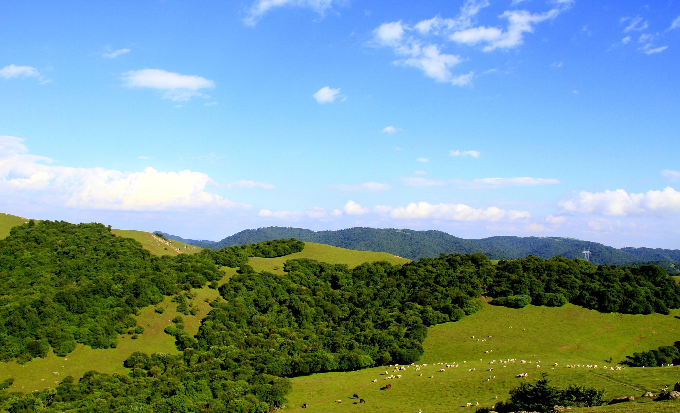 畅游甘肃-天水关山风景区_草原_陇右_关中