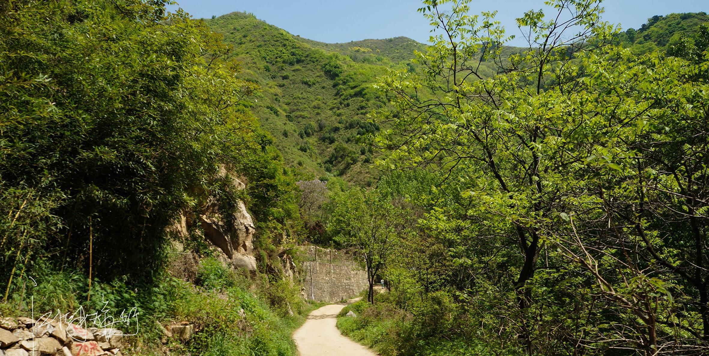 从2005年开始,我先后来过黄峪沟至八,九次了,最初是源于上王村农家乐