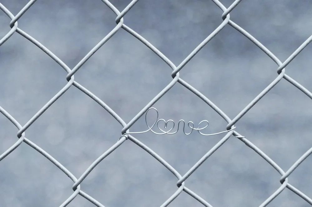 博世西门子家电今年想拿服务抢市场，能否如愿以偿？-家电圈官网