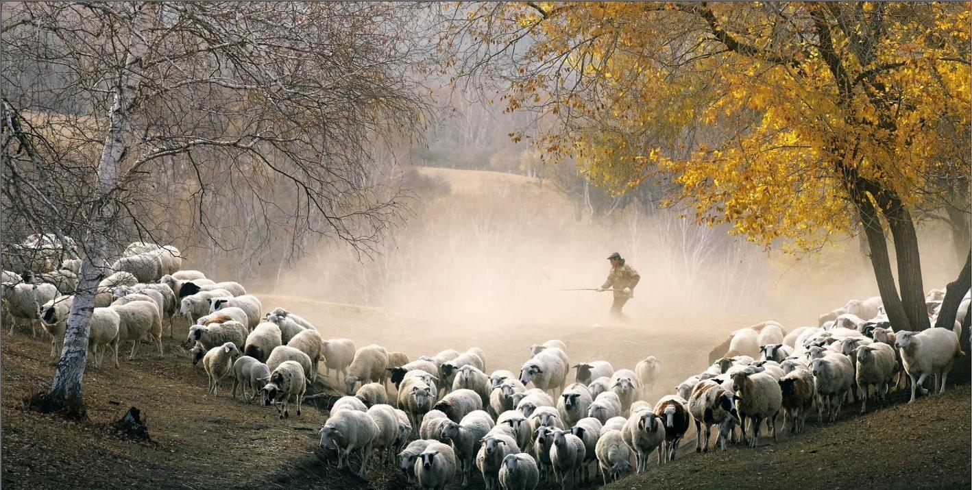 牧羊男与养蜂女的图片图片