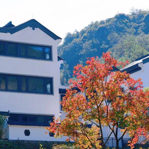 仁里山居售楼处_浦江仁里山居售楼处欢迎您丨仁里山居楼盘/户型/房价