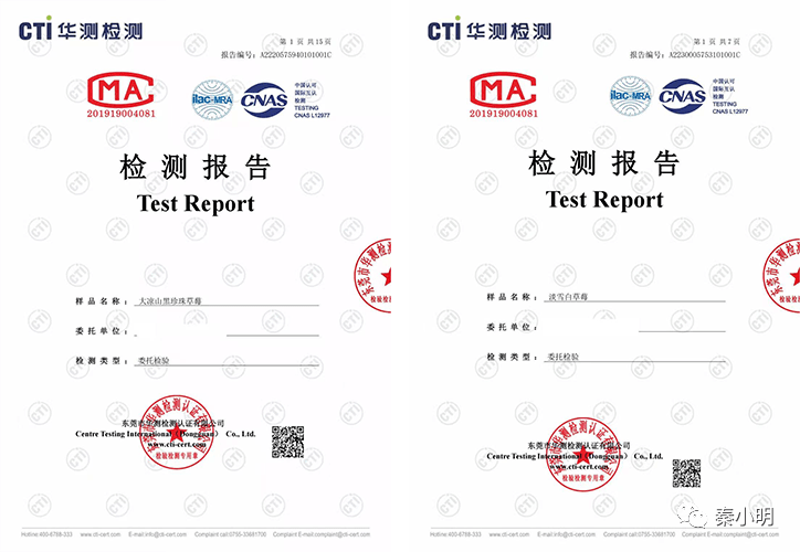 完整检测报告查看今日第三条推文.