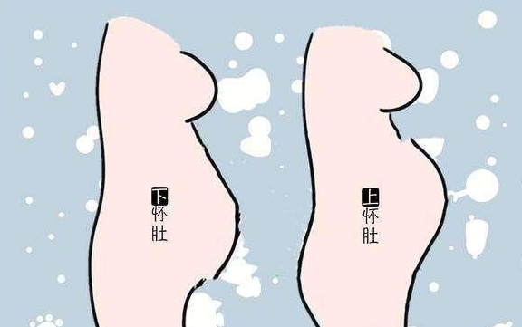 不管孕肚是哪种情况,到了孕晚期胎儿也会往下走,这是为了顺利分娩做