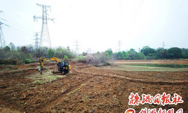 荒地变良田,醴陵市孙家湾村复耕复种忙_土地_整治_情况