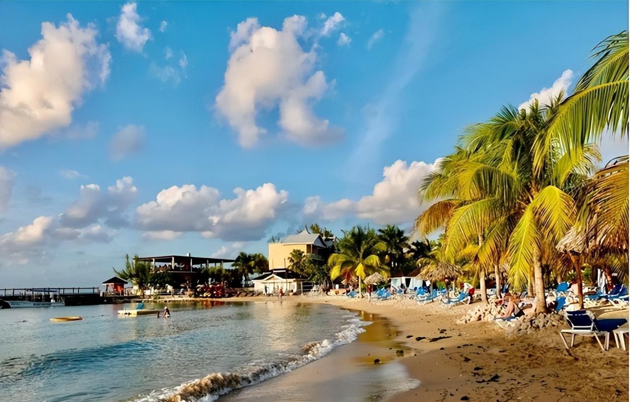 一个"没有爹"的地方,私生率达到80%,牙买加有多时尚_发展_网络_殖民