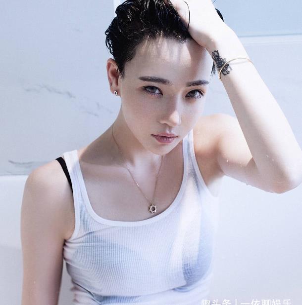 徐粲_高晓松_网友