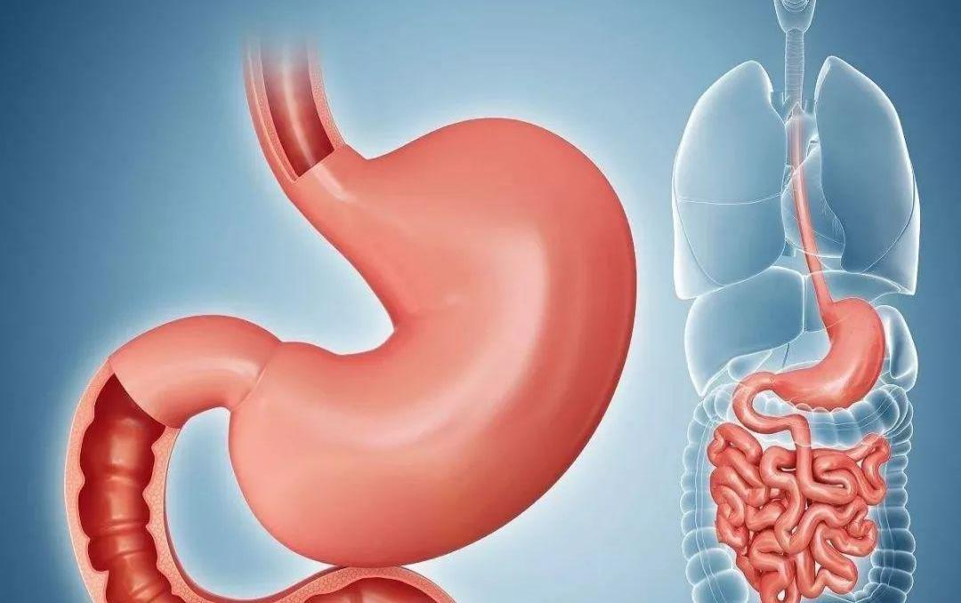 分享:一个专治小儿脾胃疾病的千年古方,当零食吃就行,帮了很多宝爸