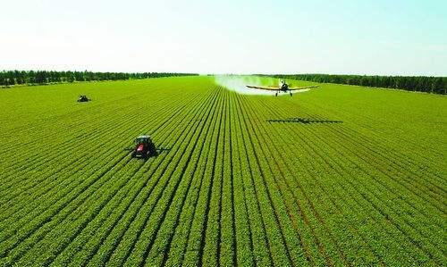 黑龙江_一带_平原