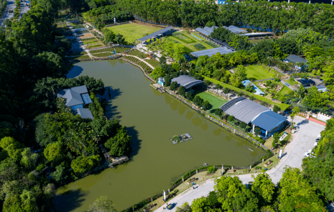 写意东莞·春游麻涌|创艺蓝莓采摘季,怎能"莓"有你!_旅游_水果_滋味