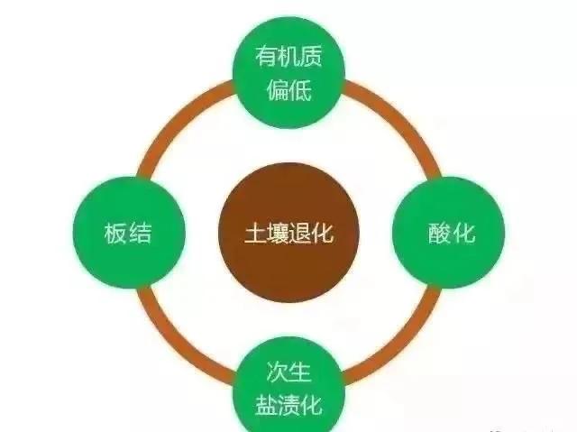 土壤中的有機肥力,什麼是土壤有機質?它的作用有哪些?