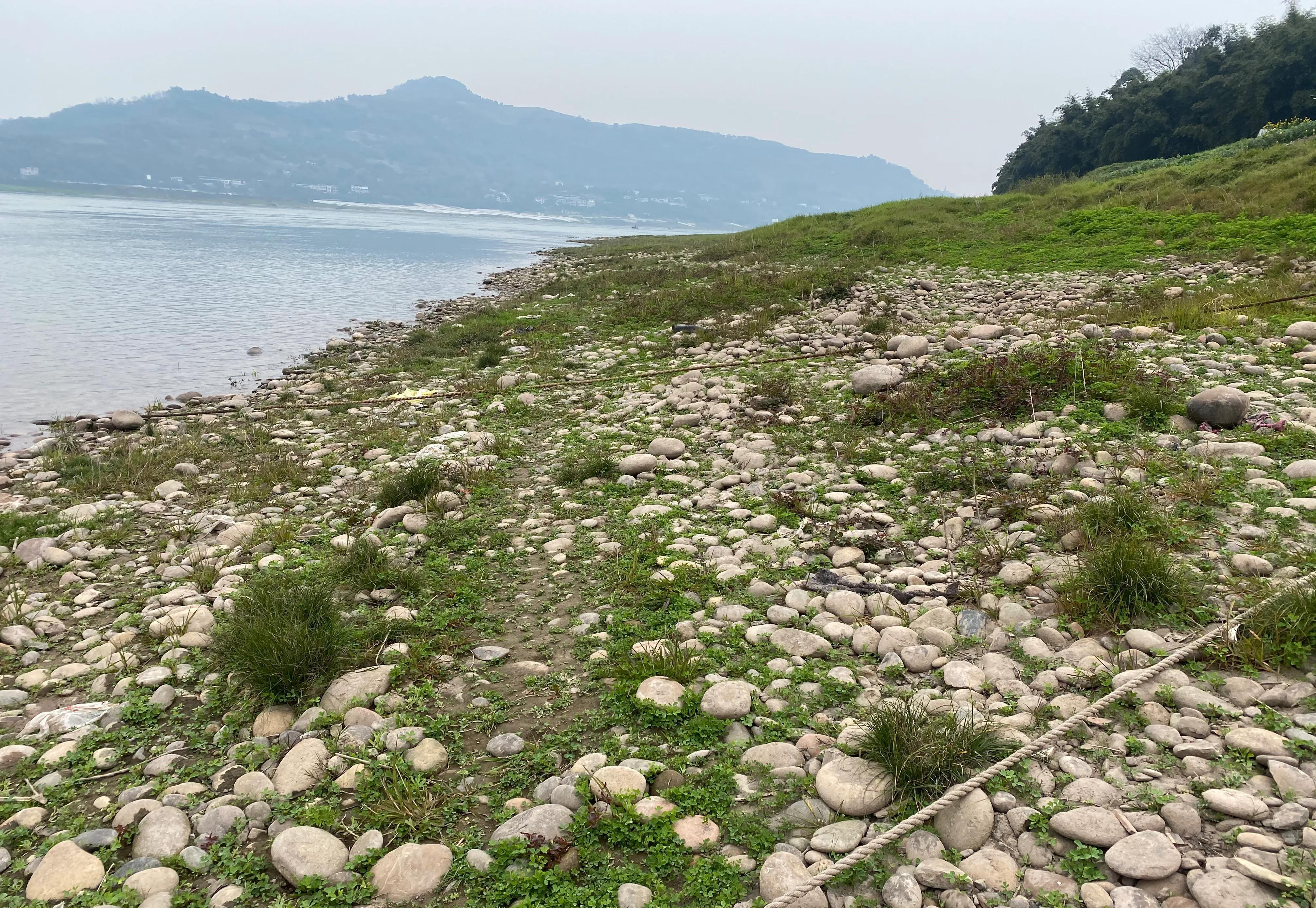 泸州纳溪麒麟广场图片