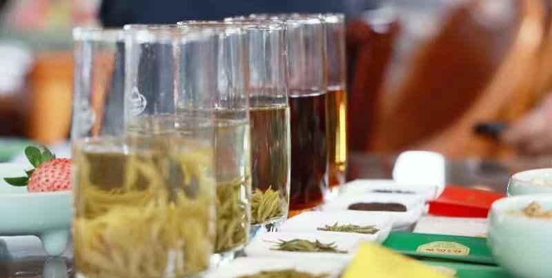 米仓山有春信 第一口鲜西湖开饮 旺苍春茶品鉴推介活动在杭州举行-米仓山绿茶价格多少