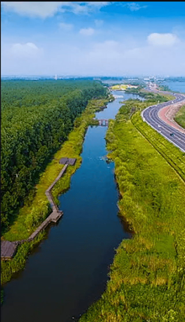 那些让城市河流活起来的"河道景观"到底有多美?_植物_配置_绿化