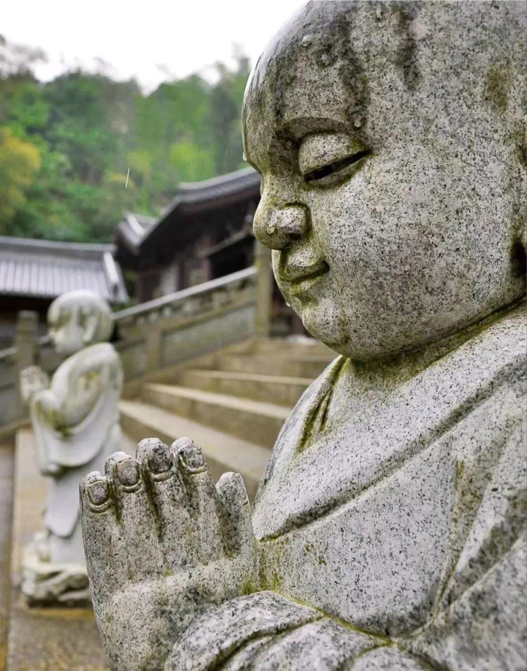 金峨寺屹立在绿油油的山谷中还在于它的层层叠叠的颜色中让人有耳目一