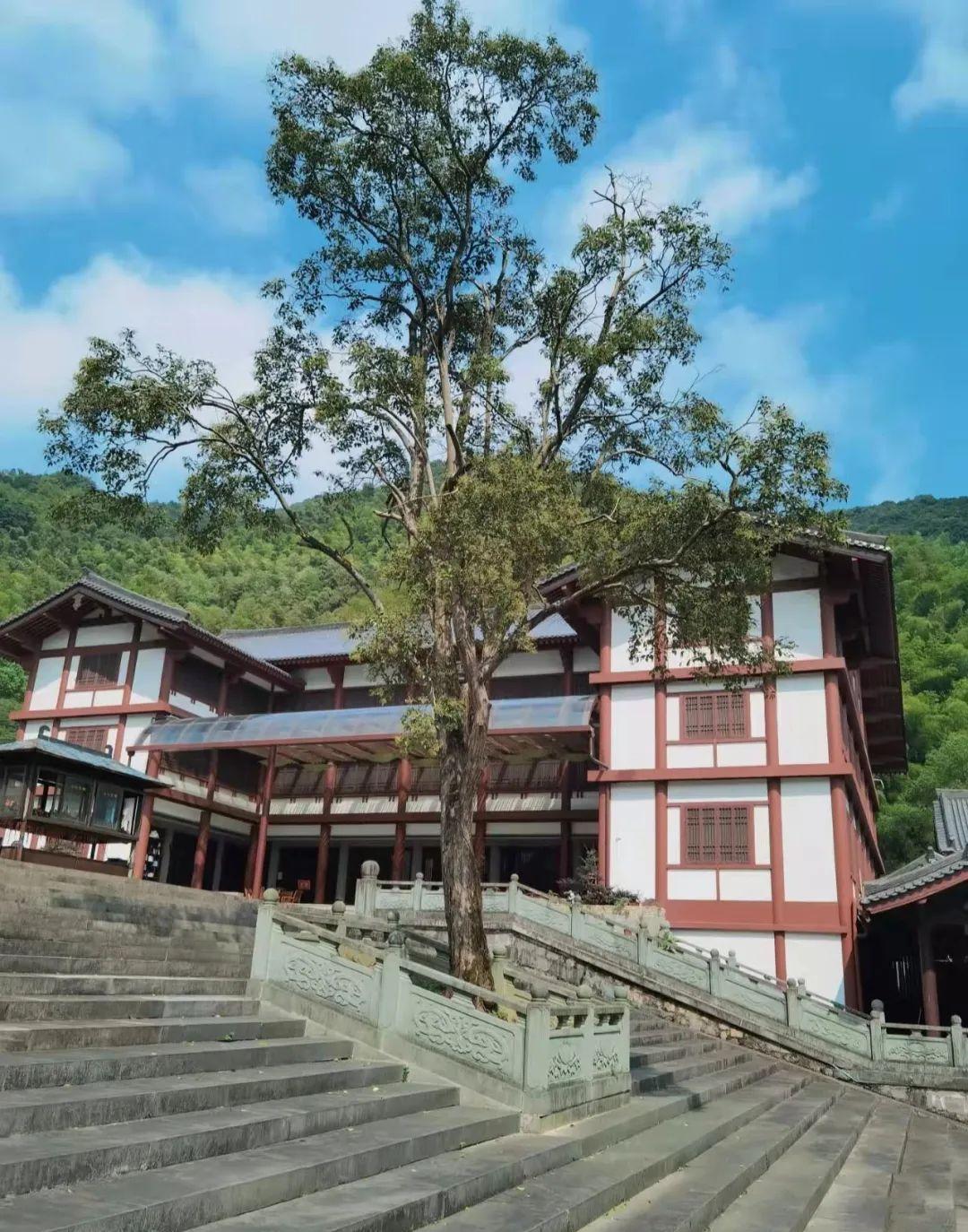 宁波最美踏青地所到之处皆为绿意