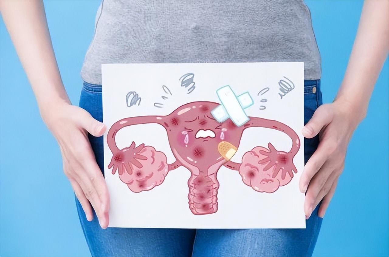 妇科医生说出真相,别大意_月经_功能_内分泌