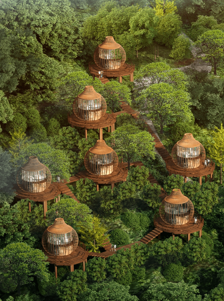 鸟巢树屋民宿落地事发赏析_项目_寓意_客户