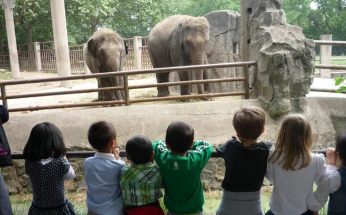 60多年的广州动物园,有人提案拟搬迁,街坊却不舍_图片_公园_孩子