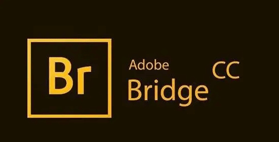 br软件-bridge中文版最新免费下载_adobe_文件_功能