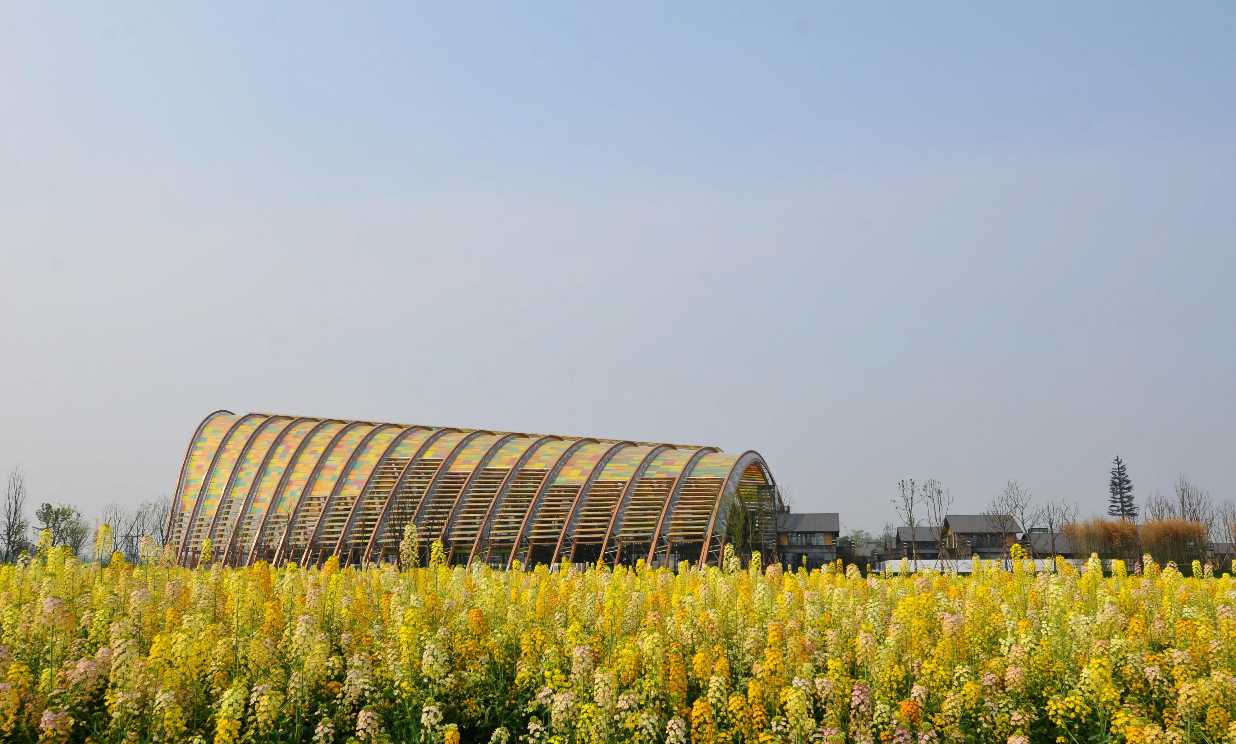 天府农博园,以赏花之名,可以观光,遛娃,摄影,露营,品茶_油菜花_村子