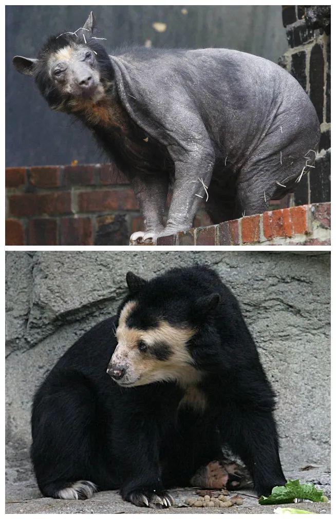 30张神奇的横切面图片,揭示事物不为人知的一面_横截面_电缆_的内部