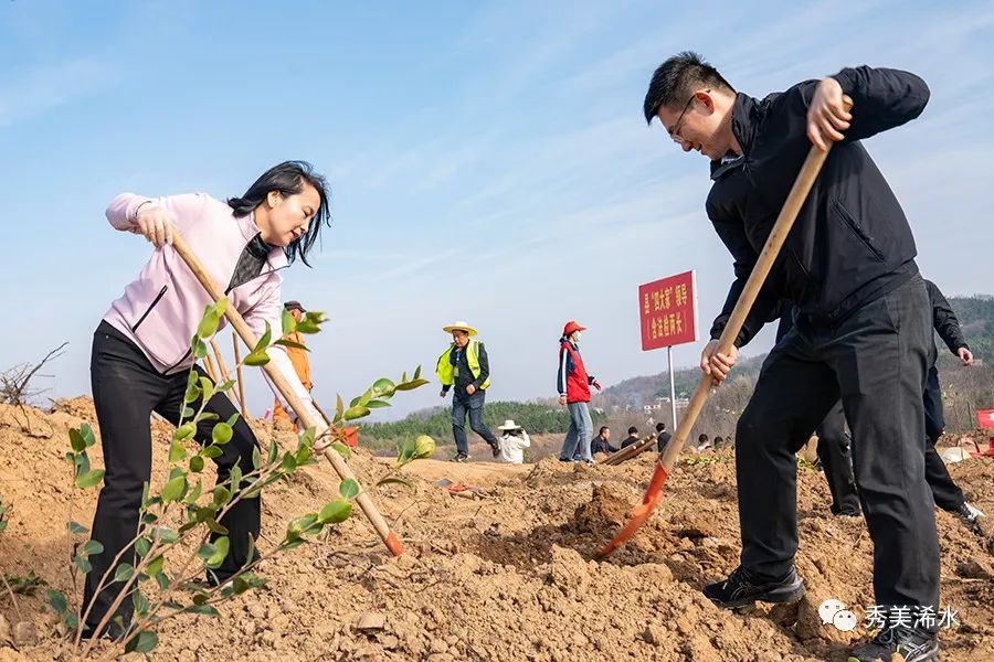 付宇等浠水县领导参加义务植树活动_油茶_全县_劳动
