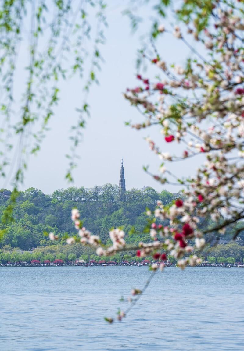 春天,西湖美如画,莫负春光,感受最美的西湖春景_杭州_白居易_少女