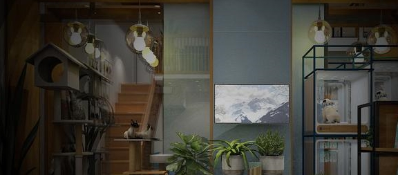在二线城市开宠物店一年利润怎么样？