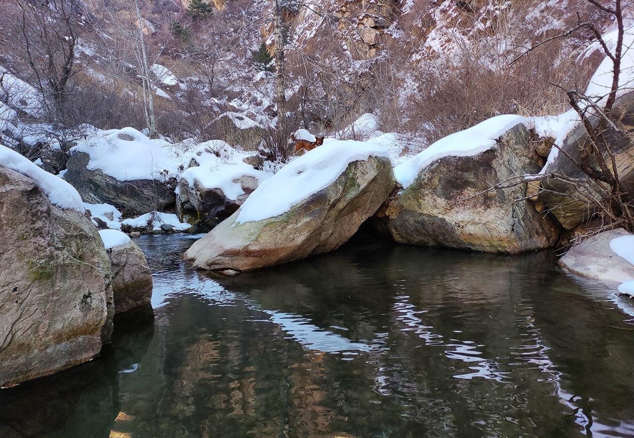 石家庄灵寿五岳寨坨沟,一个奇妙的地方,超厚的积雪旁哗哗溪水流