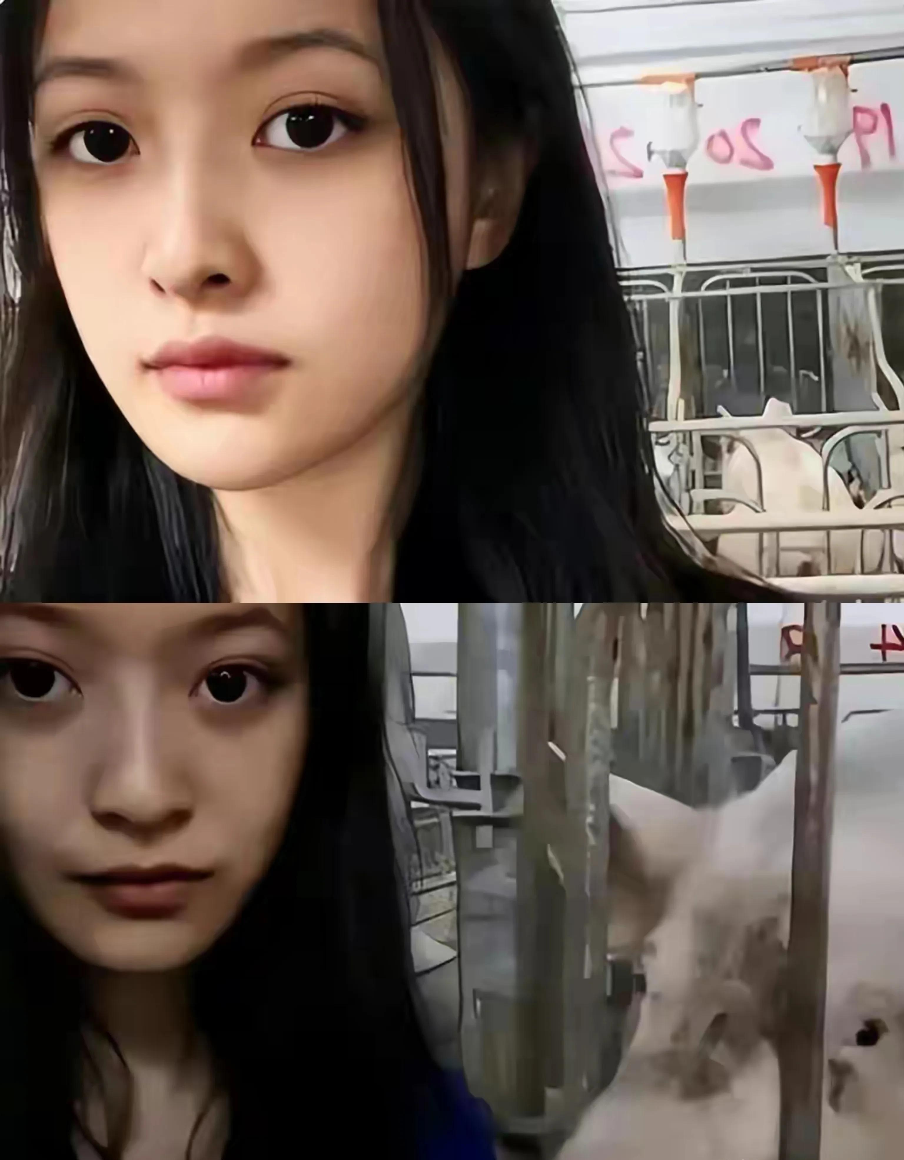 大学毕业10万年薪养猪,24岁猪场女孩引热议,会成为女版秦英林吗_工作