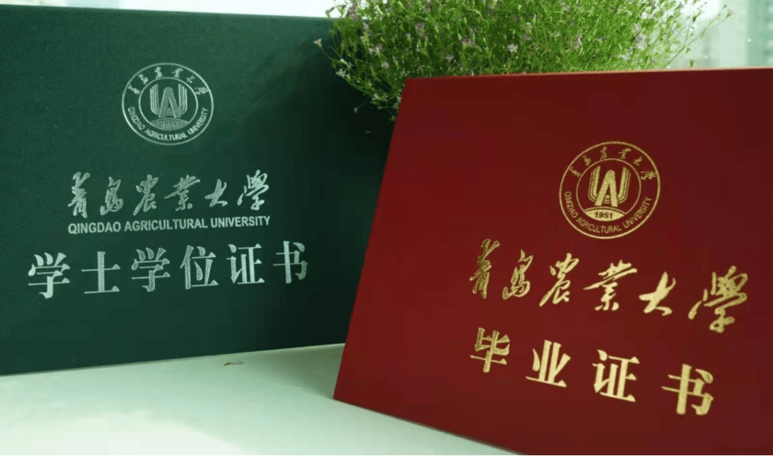 洛阳大学毕业证照片图片