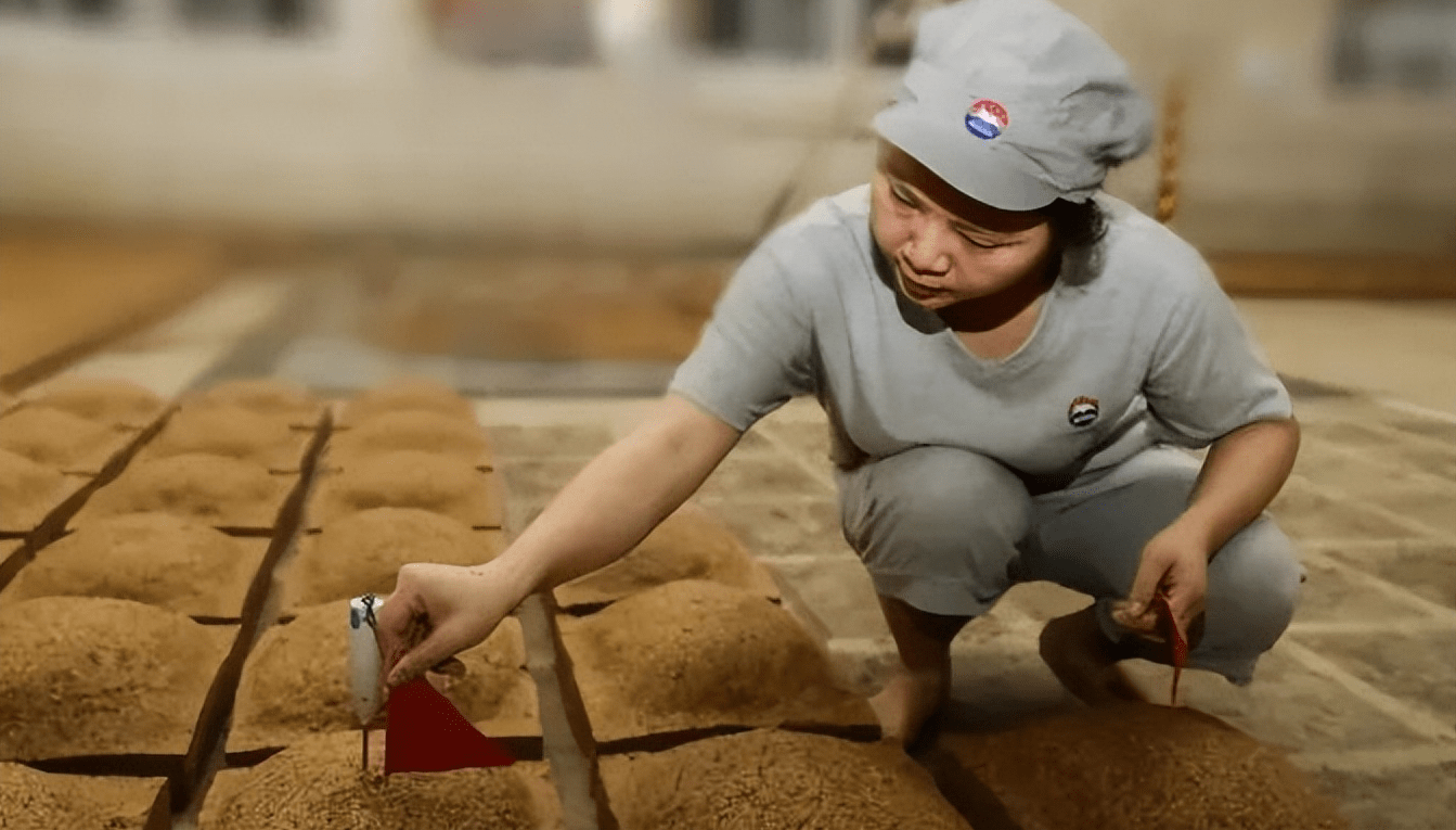 315曝光赤脚踩腌菜,赤脚踩曲与它有何不同?少女脚比大汉脚香?