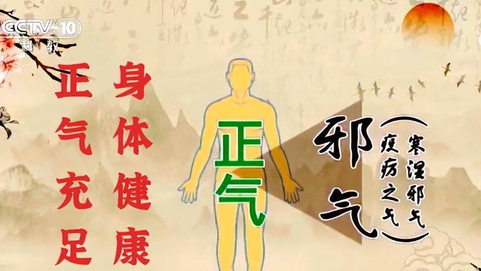 《黄帝内经》告诉你,人为什么会生病,怎样才不会生病!_元气_正气_精神