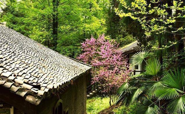 湖北又一景点走红,位于薤山之上,还被称为"南避暑山庄"_游客_旅游