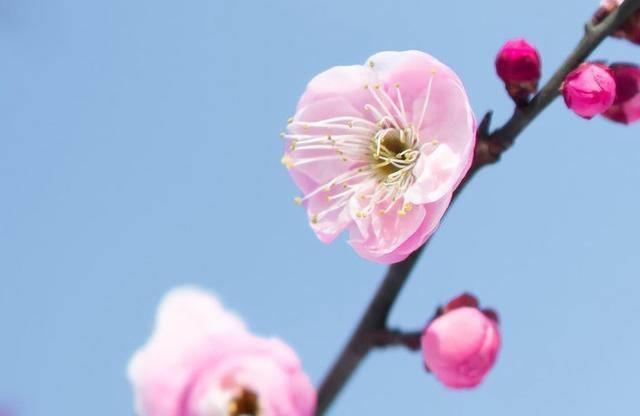 時光漫漫,聚散隨緣,從容前行_歲月_人生_生活